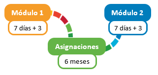 Imagen de tablas interconectadas, Modulo 1 (7días +2), Módulo 2 (7 días +2), Asignaciones (6 meses)